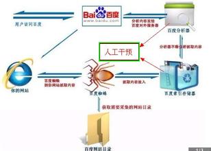 煙臺網絡公司:百度人工詞